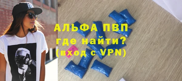 СК Алексин