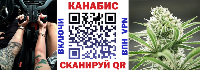 Шишки марихуана семена  mega онион  Карачев  где найти наркотики 